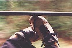 Ali on the Puffing Billy train; 250x168